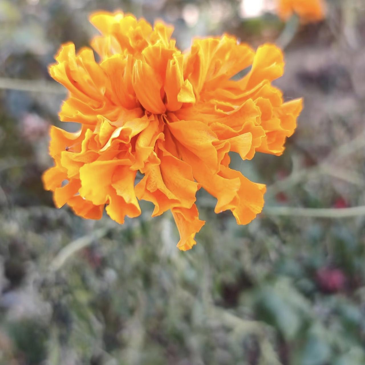 人进了医院，才知道生命最可贵！这两天把我累的晕头转向，下了班还要去医院看望生病