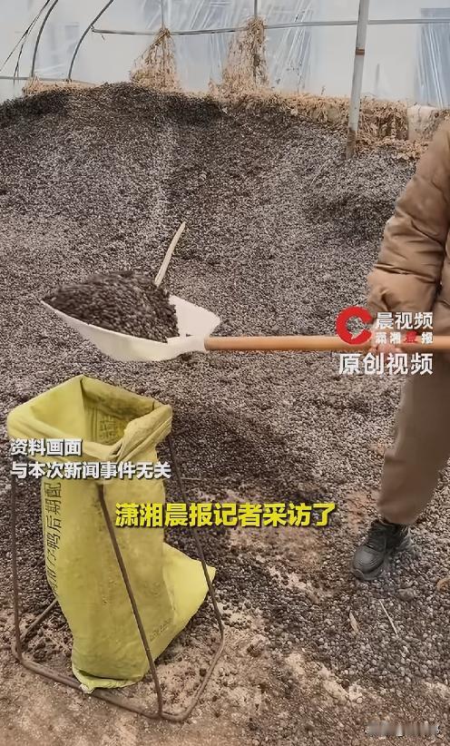 “哭笑不得！”山东，一名女子为给秋播施肥，网购了50斤羊粪，哪料，竟粗心选