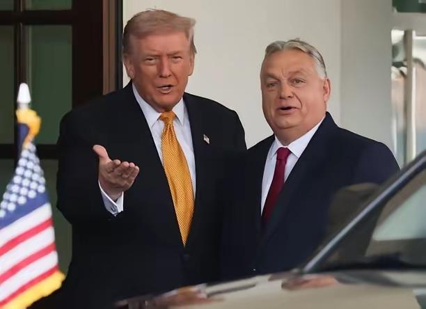 欧尔班和特朗普关系是真铁。特郎谱的关税大棒打遍全球，无论是欧盟北约还是其小弟日