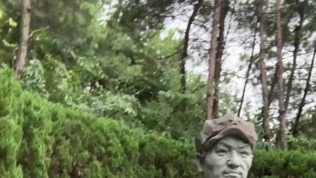 历史不会被遗忘，英雄必将被铭记#缅怀先烈#陈树湘#正能量