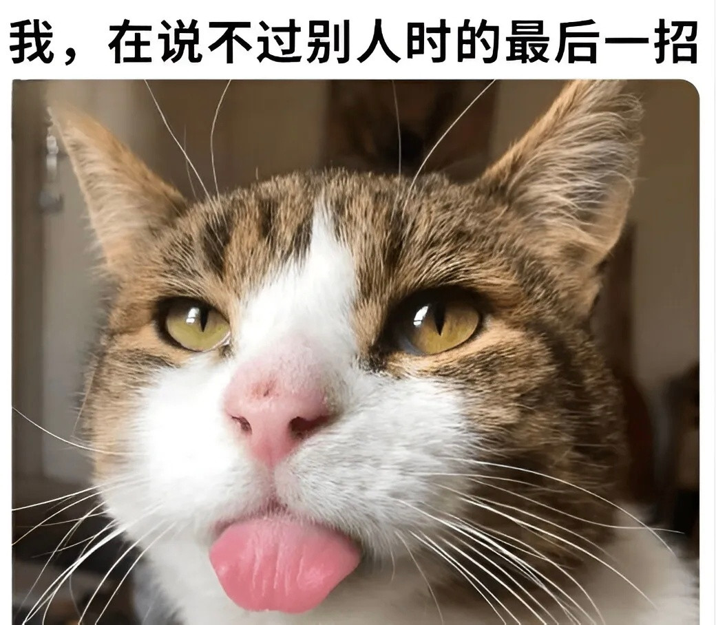 攒的一些猫meme梗图meme