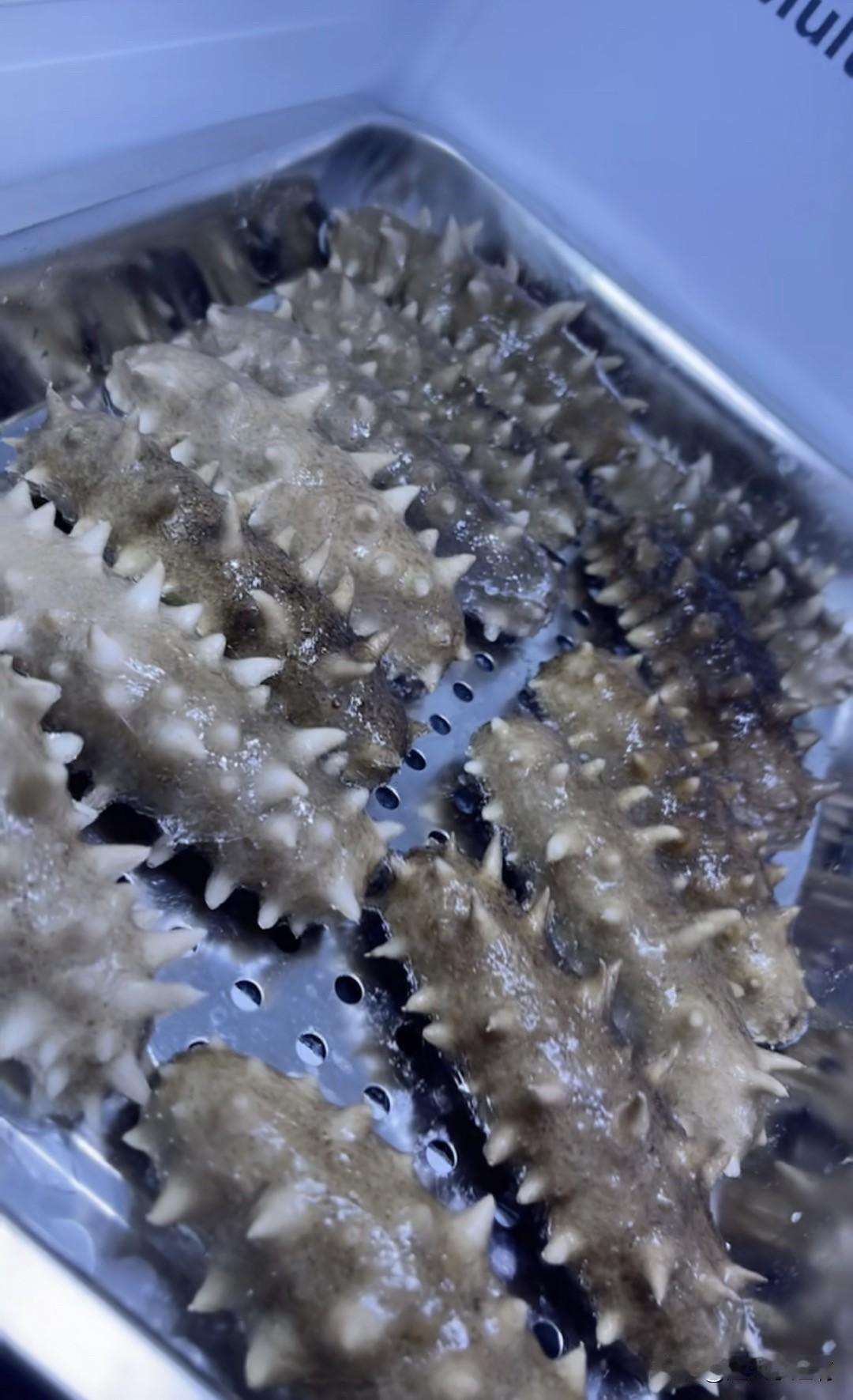 [捂脸哭]哈哈哈，我真不能活了，快弄死我吧。闹呢？俺老头说到底是什么脑子才能
