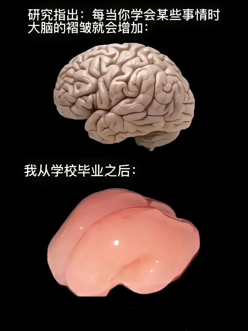 感觉大脑被抚平