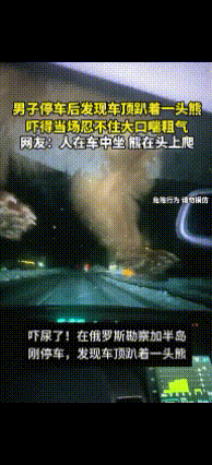 太吓人！一男子停车后发现车顶趴着一头熊，吓得当场忍不住大口喘粗气。当熊掌刚接触前