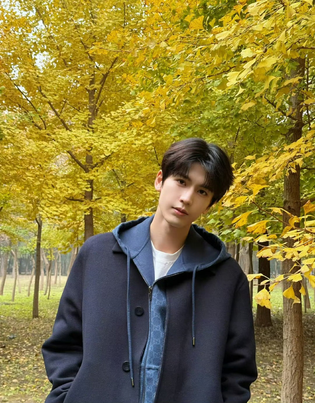 在节目现场，张凌赫和丁程鑫美貌同框超美好！张凌赫自带气场，五官深邃，帅气无敌。丁