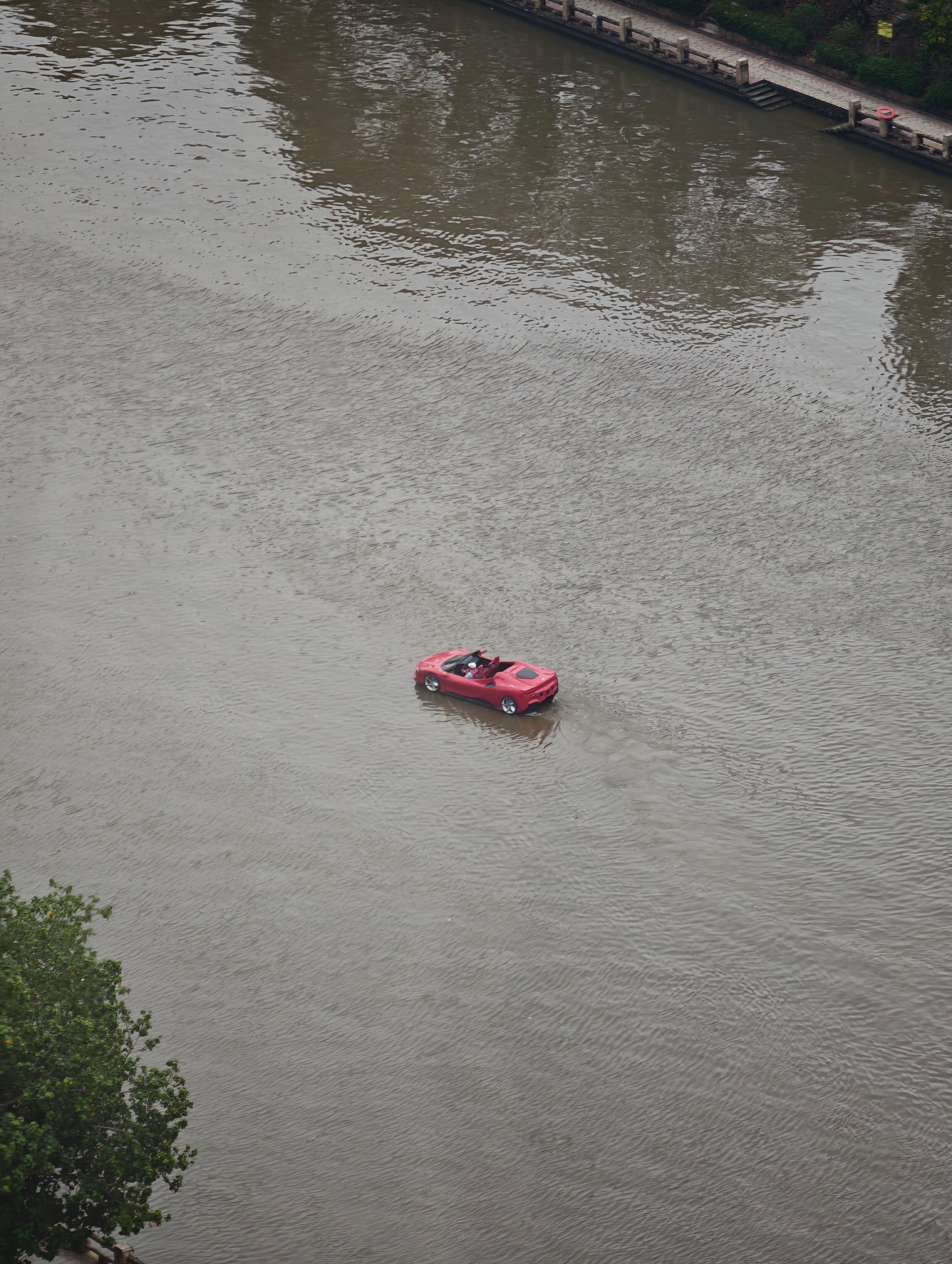 我去，我看到了什么？