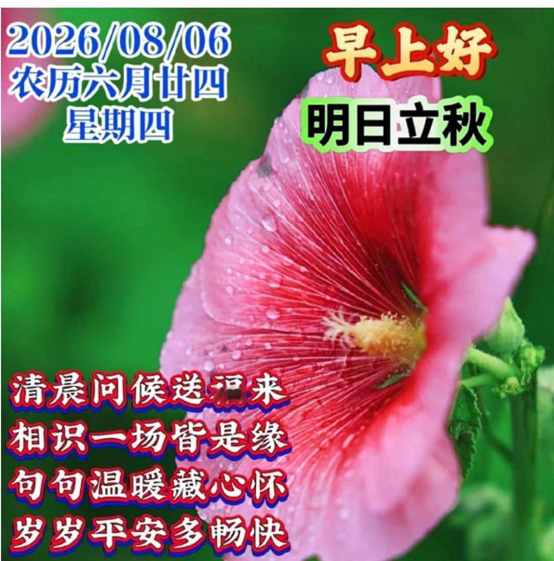 夏晨送来清凉意，问候捎去好运气；祝你健康加快乐，万事顺心谐如意；夏日炎炎