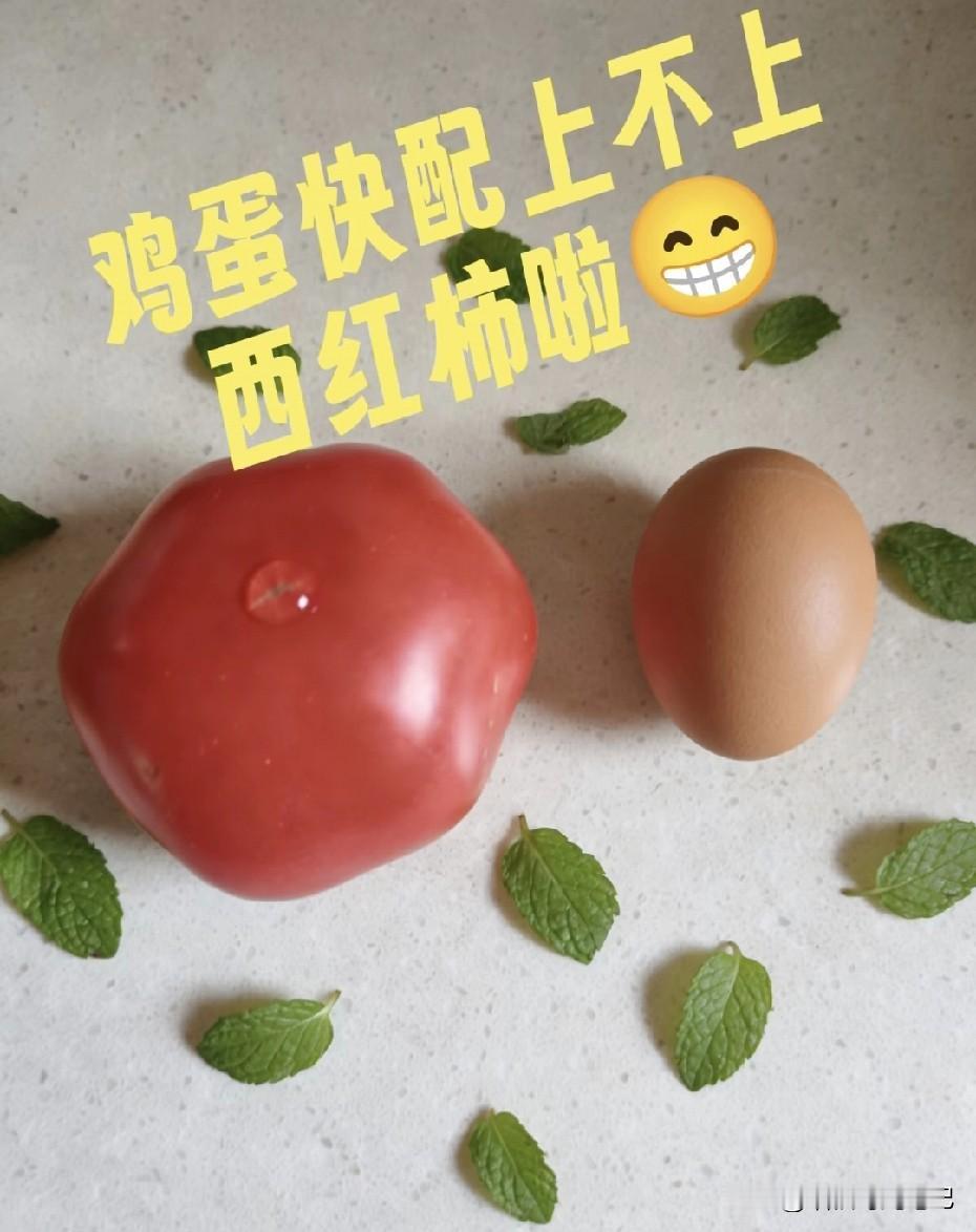 今天去买菜，差点被西红柿劝退：最便宜的7块，好看点的直接飙到10块+，挑两个就十