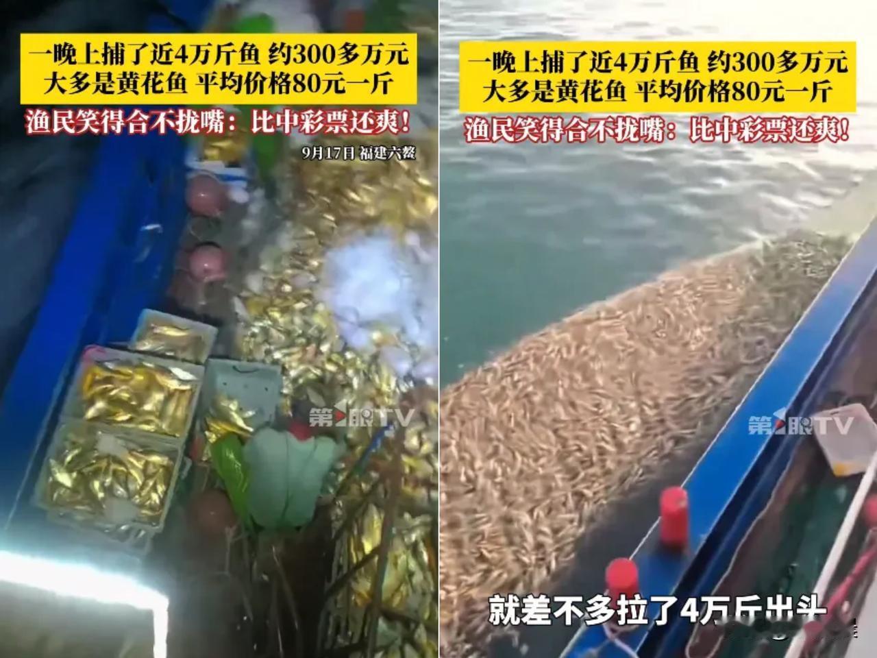 简直赚翻了！福建漳州渔民一夜捞4万斤黄花鱼，狂赚300多万，这哪是捕鱼，