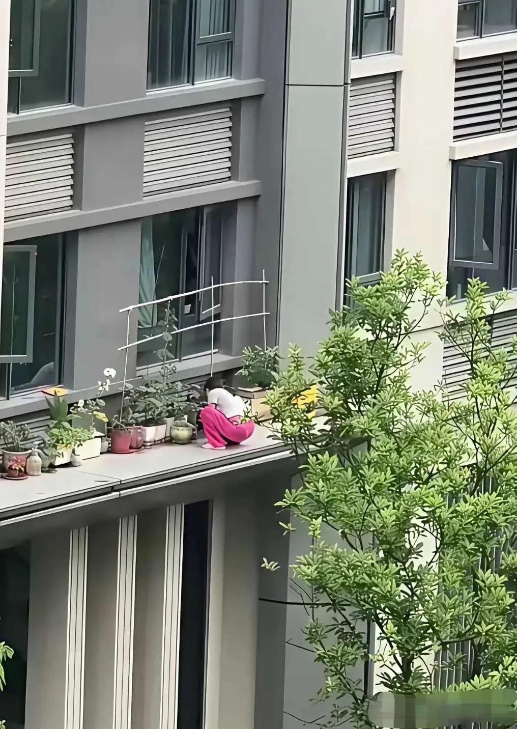 房子的价值都在她一人身上了