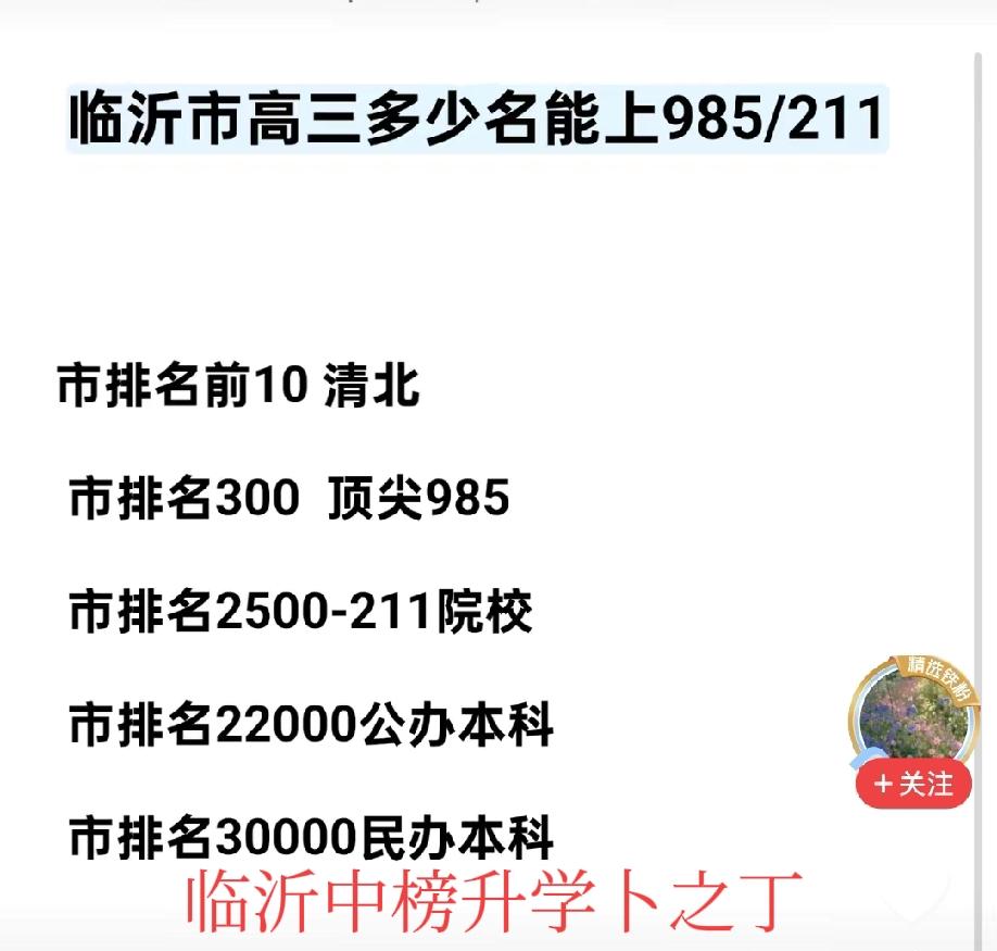 临沂的孩子全市排名多少会被985录取，排名多少会被211录取，排名多少能够去公办