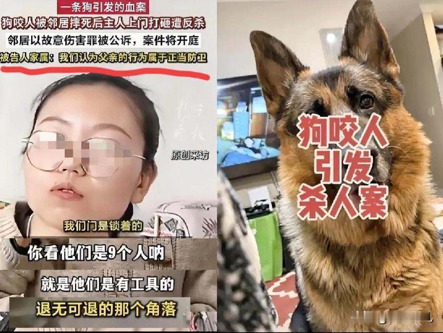 在这几天，全网热议的事件，发生在宁波。狗主人没有栓绳放任大型犬伤人，违反养犬