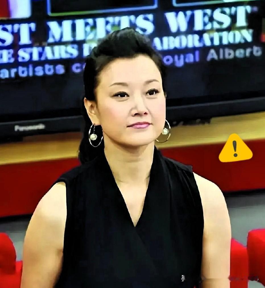 宋祖英，一个家喻户晓的名字，曾经连登24次春晚，享受正军级待遇，乃至于如今很多人