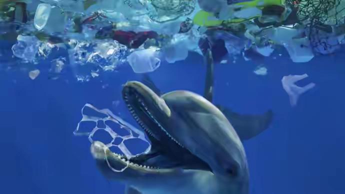 “比外卖还快！”——微塑料7天攻进大脑，人类最后的防线只剩这道血墙---