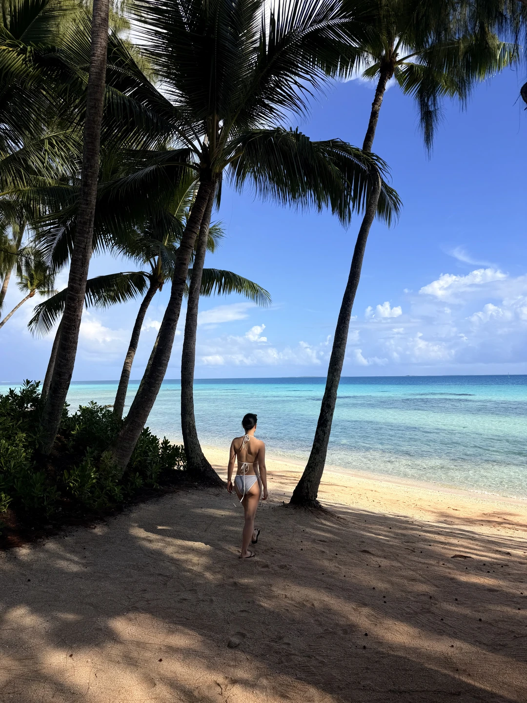 大溪地小众野奢酒店也是住上了，气质绝了