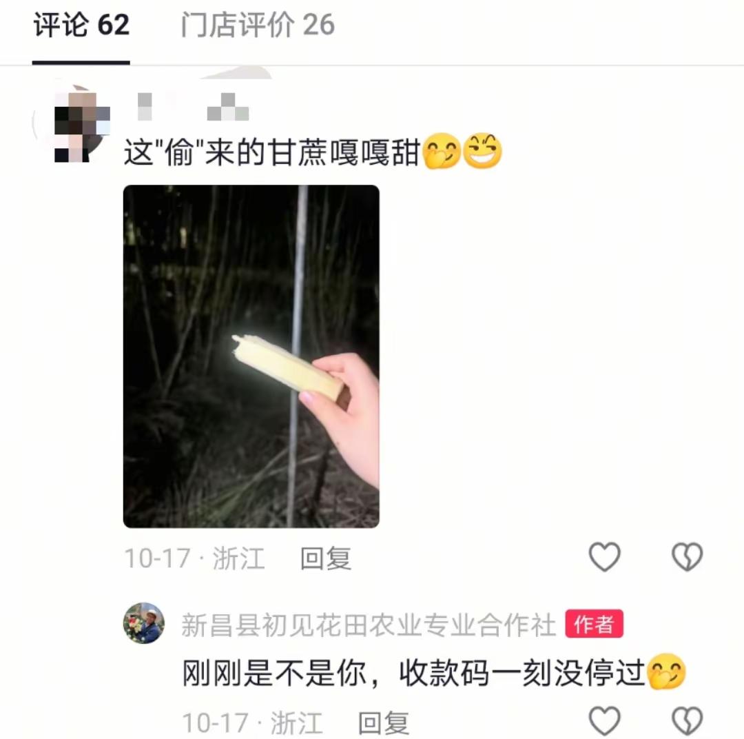 绍兴“可偷甘蔗地”爆火:18元当回“贼”,好玩还是踩了法律红线?内容摘要
