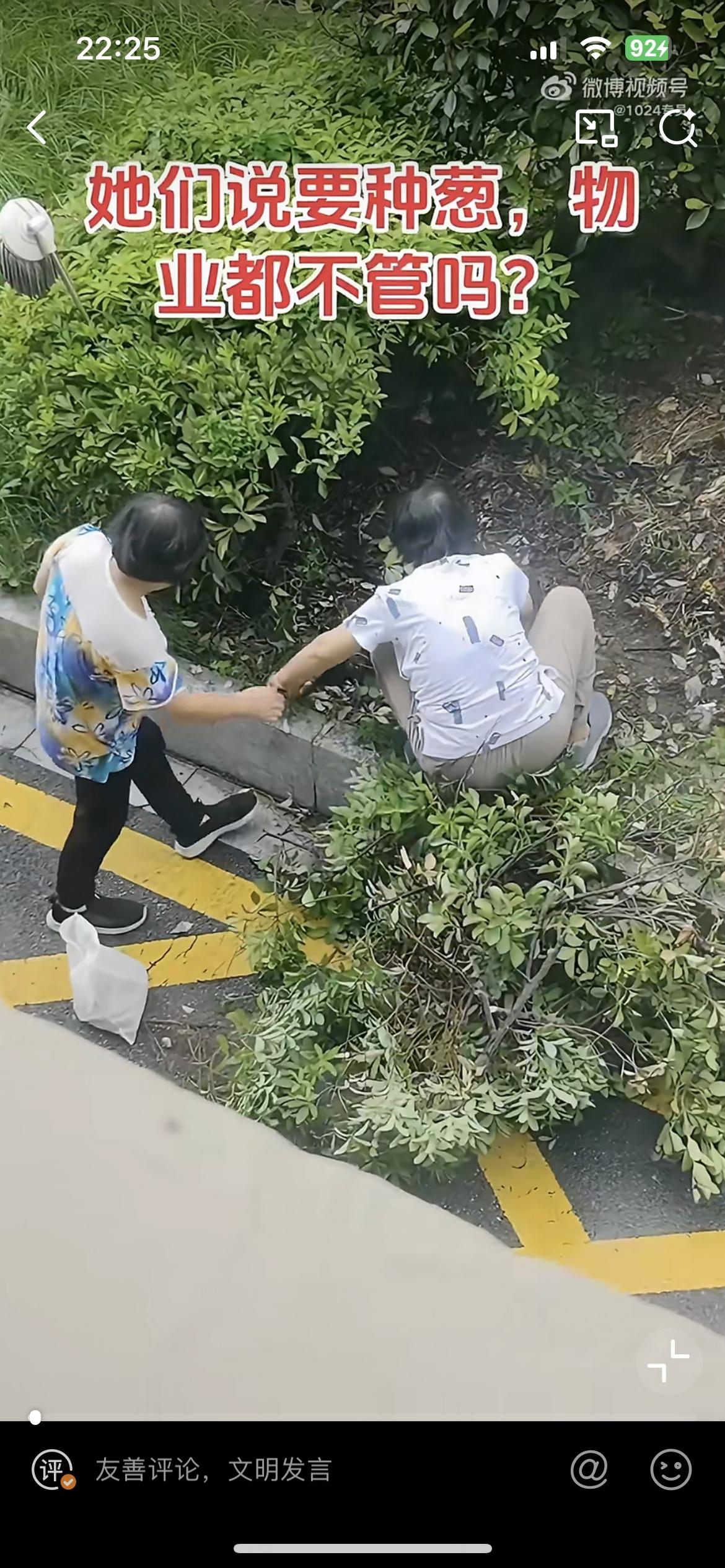 这两个大妈真牛，在小区开发绿化带准备种菜，可物业却装聋作哑。看起来这已经是非常成