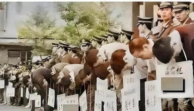 1983年，太原一早餐店进来4个刑满释放的少年，出于好心，老板娘请他们吃了早餐，