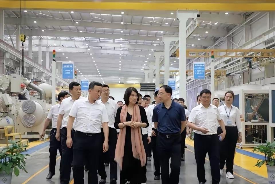 当年为逼董明珠道歉连发三天微博，现在日本断供机床卡脖子，汤家凤问胡锡进:还要不要