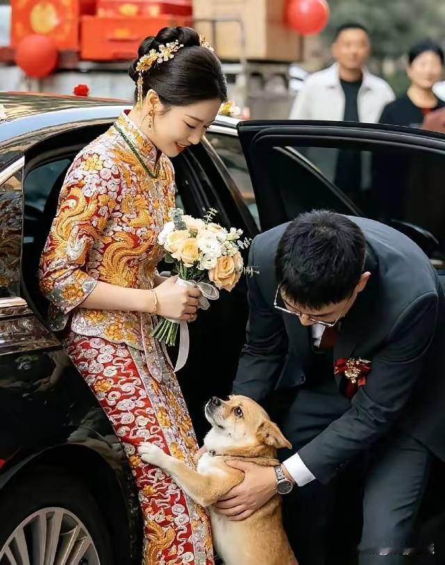 表妹出嫁，正要登婚车，谁也没料到，她收养的流浪狗阿黄冲了出来，含泪抱住她的腿，苦