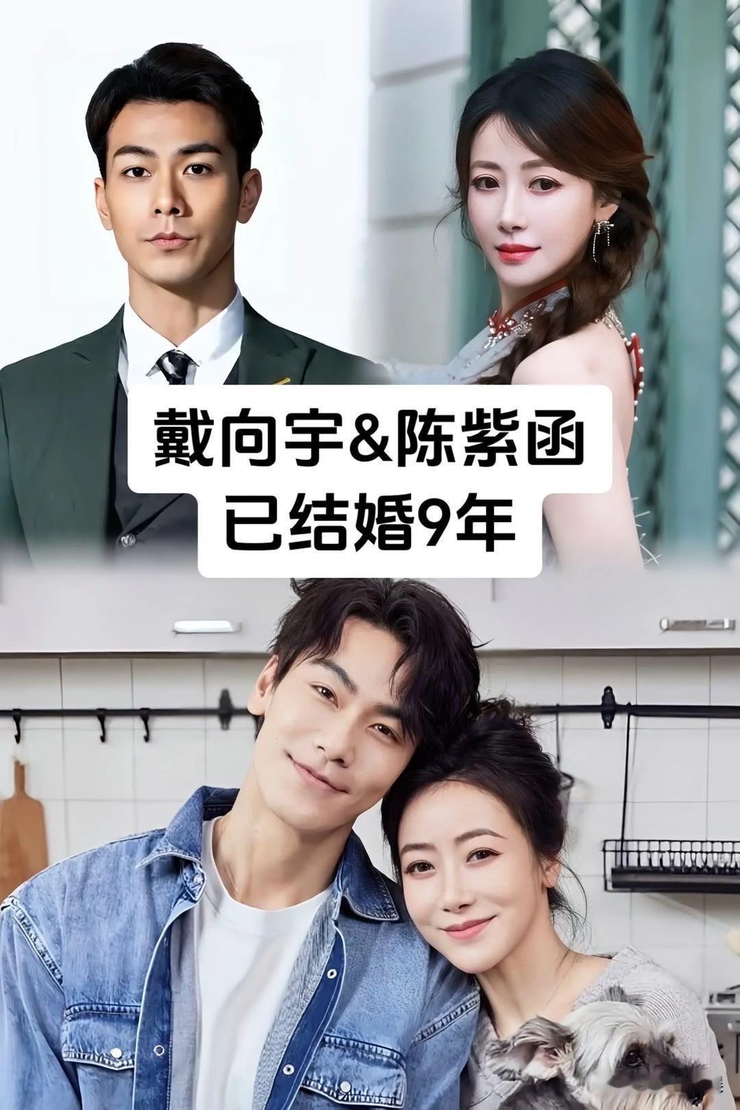 14对结婚多年“未生孩子“的明星夫妻