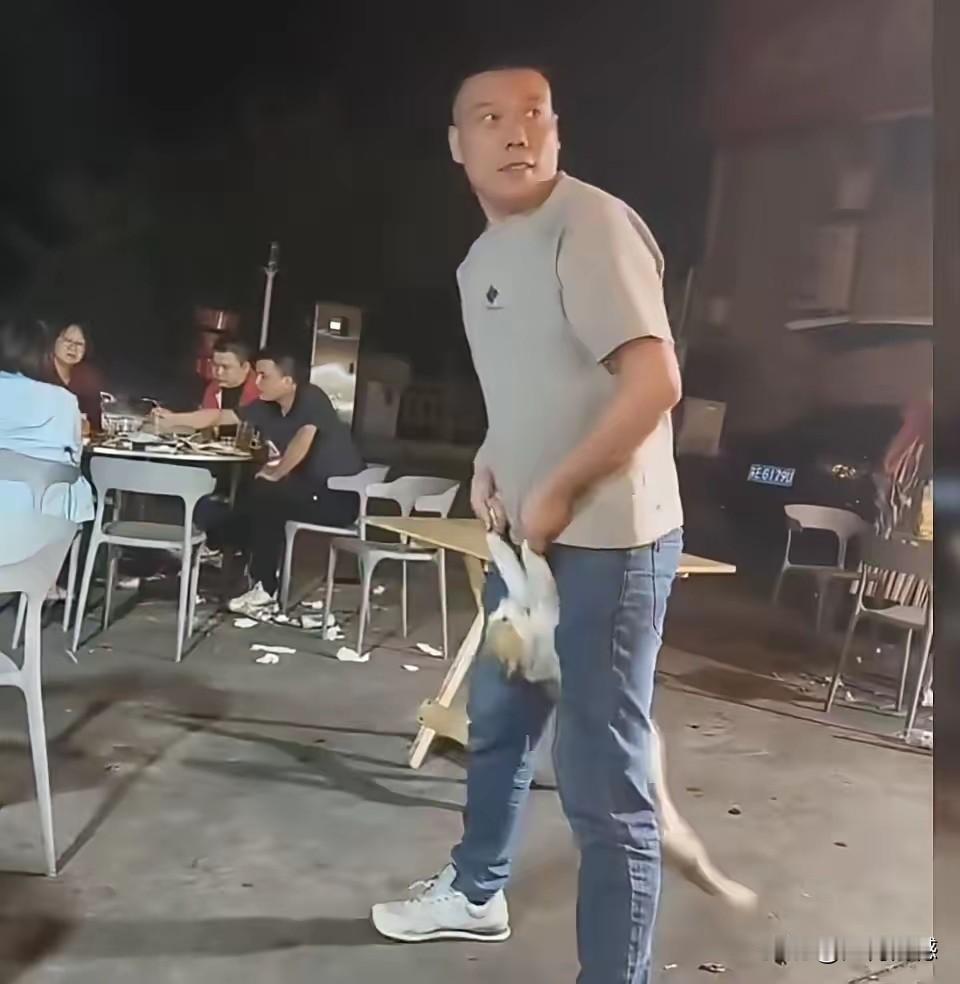 一只可怜的流浪猫，为了能够活命，就是在大排档的桌子底下捡点骨头吃，可是有些人就不