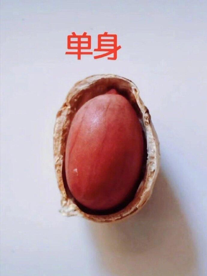 这一生，简直太形象了​！人生三万天，且行且珍惜时光匆匆流转，生命这场旅