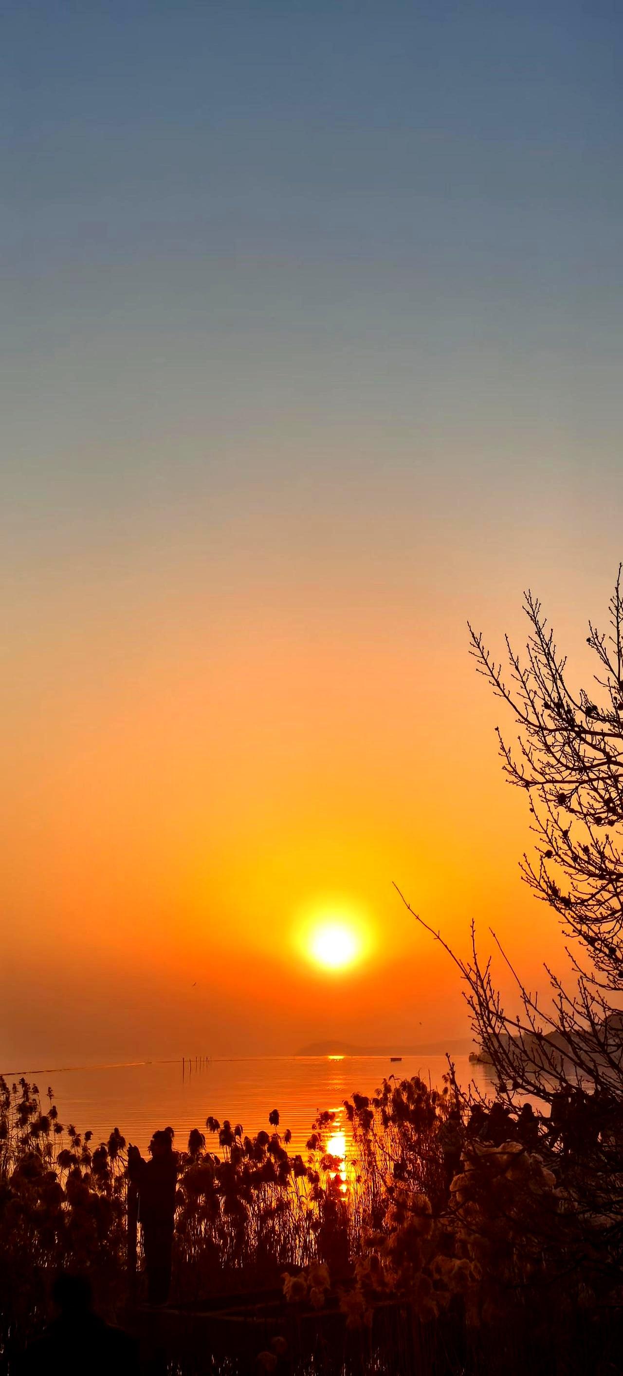 看到这段话，我没觉得甜，只觉得脊背发凉。“偷偷的在一起”，多少成年人的把戏，裹