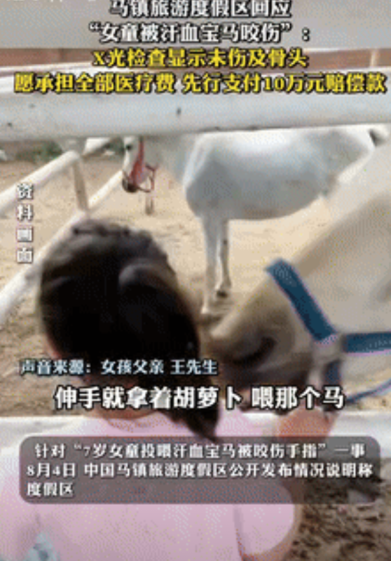 “吵翻了！”北京一父母带着7岁女儿参观马厩，女孩在投喂汗血宝马时，食指前段被马咬