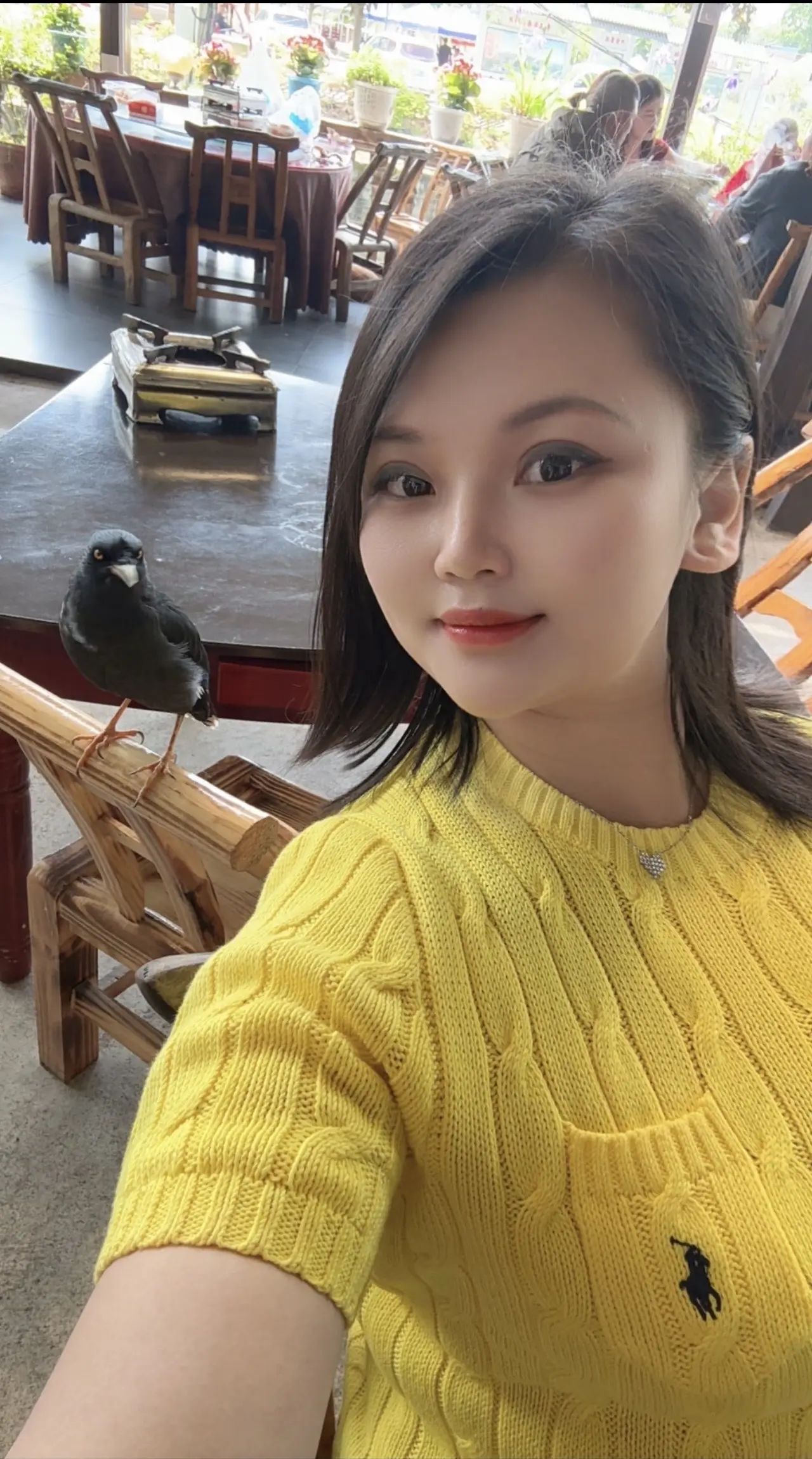 就连小鸟都那么喜欢我，你为什么不喜欢我？