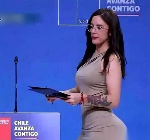 智利有个女部长，叫卡米拉·巴列霍。光看照片，你会以为是哪个选美冠军。但十年前，