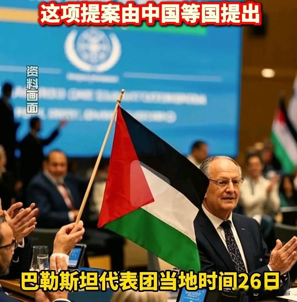 巴勒斯坦：感谢中国大哥，让我在联合国抬起头来！巴勒斯坦获得在世卫组织升起国旗的