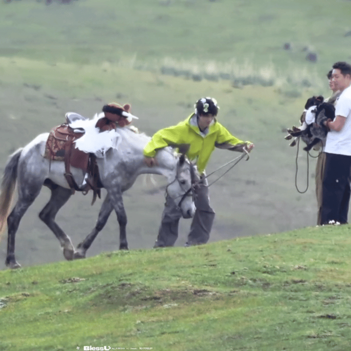 苏新皓被马顶了本来安安静静牵着马，结果被小马突然顶了一下，属实猝不及防，希望接
