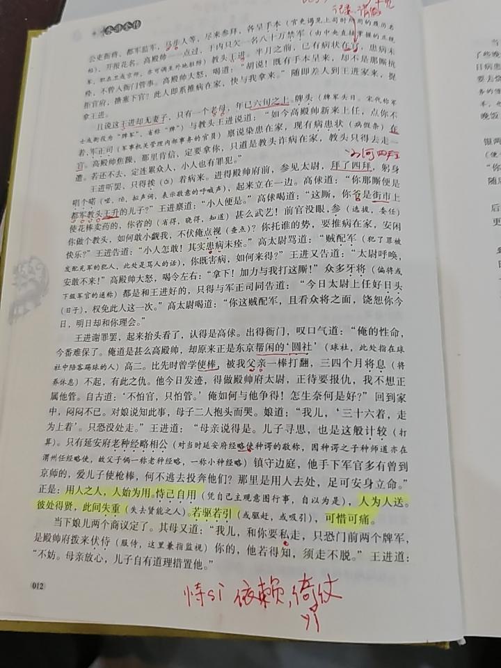 【水浒】王进私自逃走，林冲是否知晓？高太尉上任首日，便将王进打得半死。彼时林