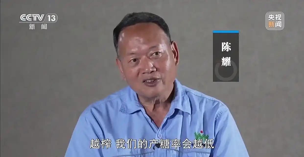 全网追捧的化州陈耀，被老农一句大实话戳穿：根本没帮到蔗农 四月那会儿，两广和