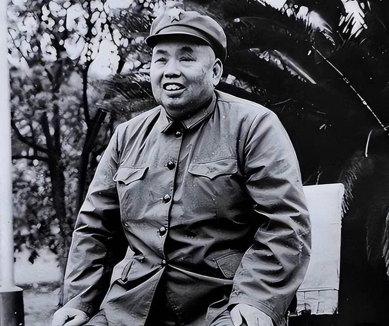 许世友退居二线之后，定居南京。聂凤智找老首长谈话，非常严厉地对许世友说，我要和你