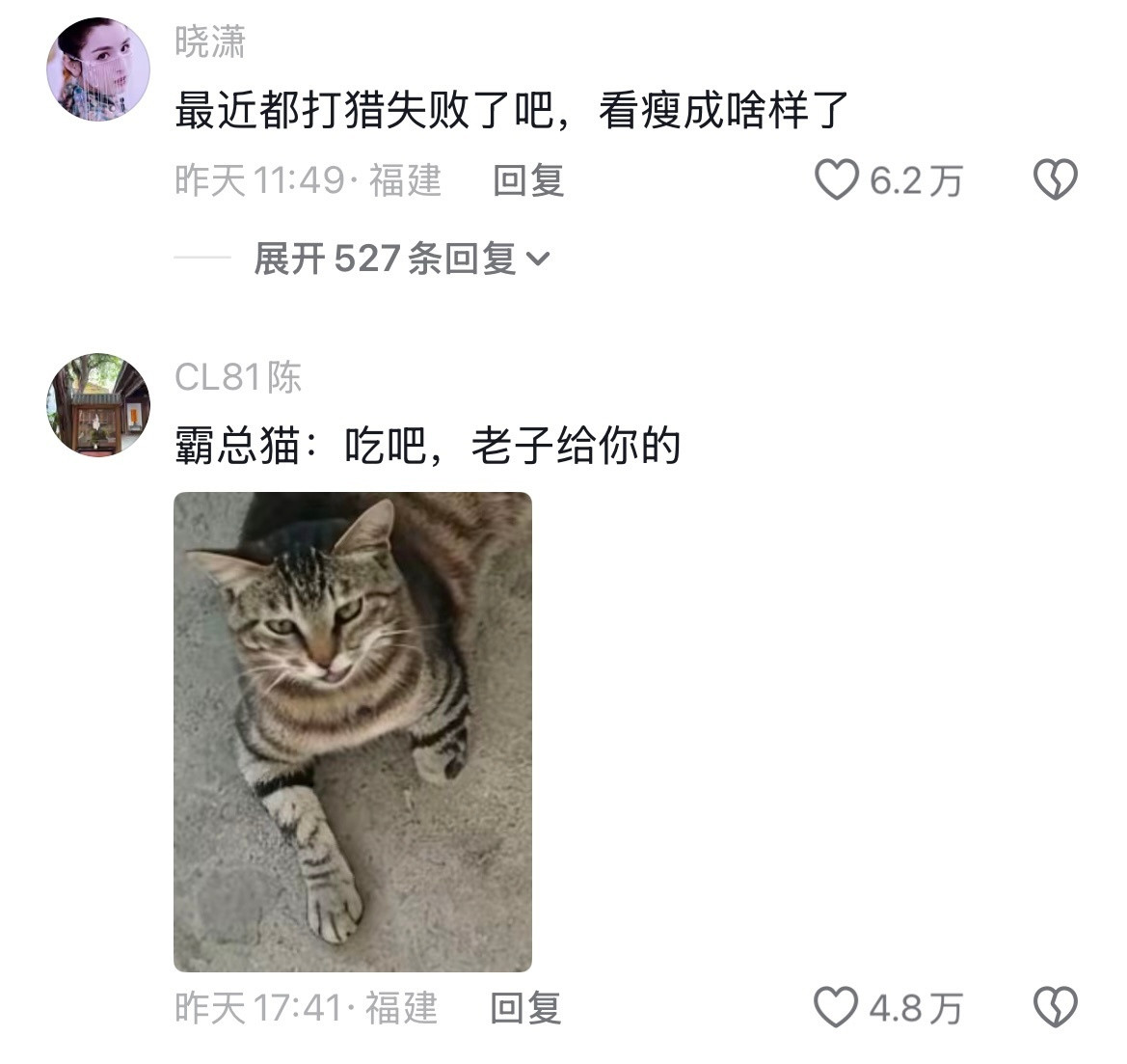Jennie神图诞生了小猫不知道什么是减肥小猫只担心你没有东西吃🥹