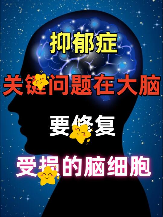 抑郁症，关键问题在大脑，需要修复受损的脑细胞！ 	 抑郁症是一种棘手的...