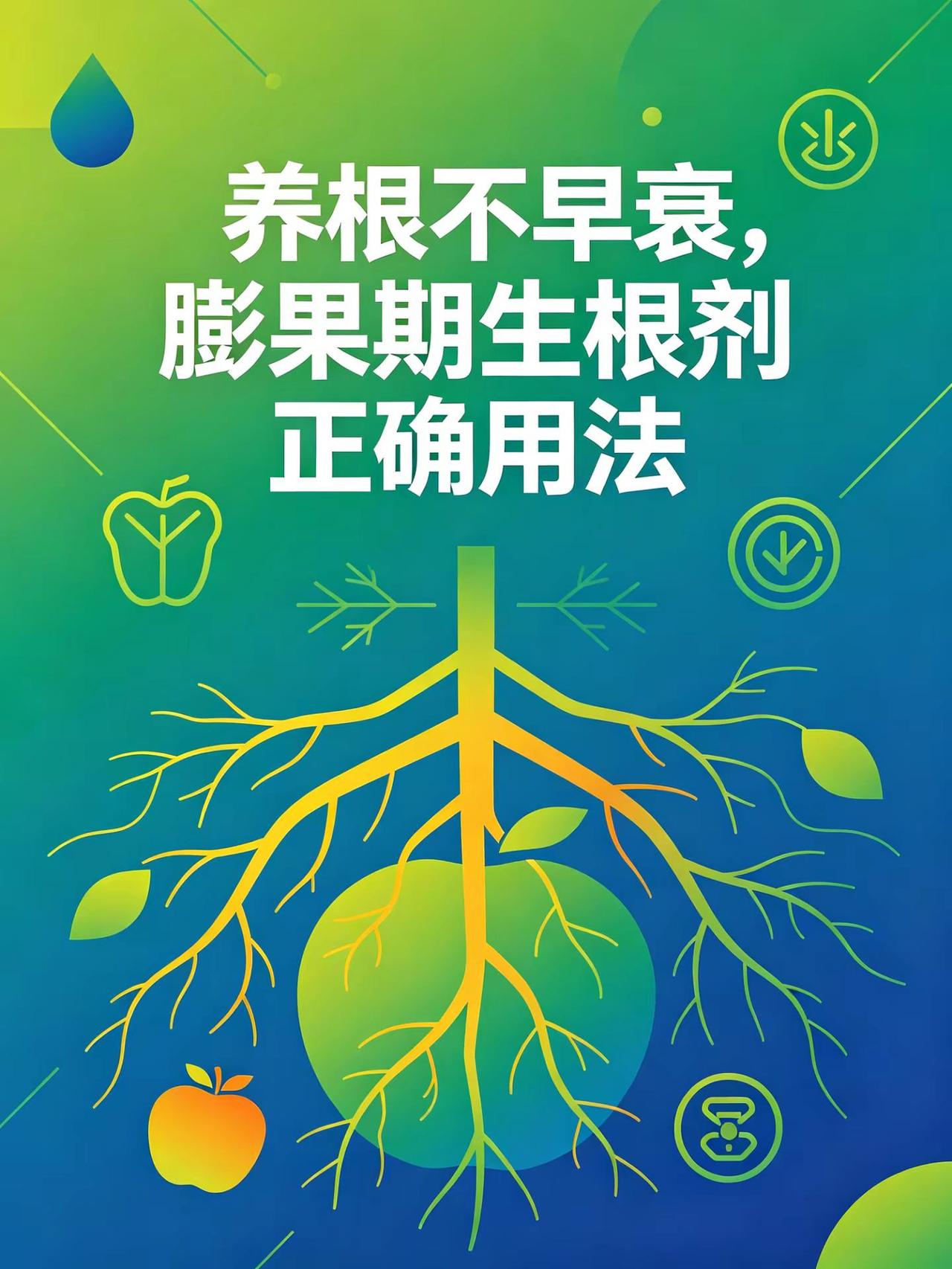 养根不早衰，膨果期生根剂正确用法。养根早衰膨果期