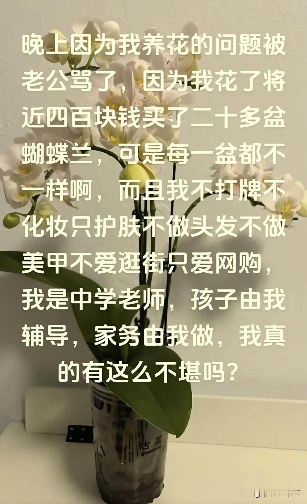 日子怎么可能和谁过都一样!看到一位中学老师，买了400元的花被老公骂，明明自己