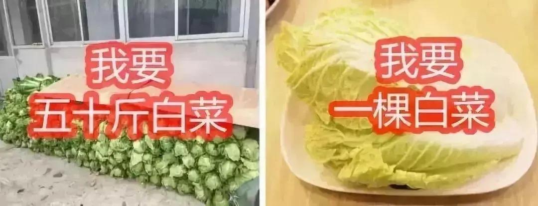 “白菜卖出猪肉价”你信吗？还真有人碰上了。有人在生鲜平台下单，系统显示一棵白菜1