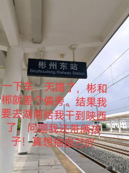 万万没想到！就因为手滑打错一个字，母子三人动车直接坐错一千多公里！女子带孩子坐火