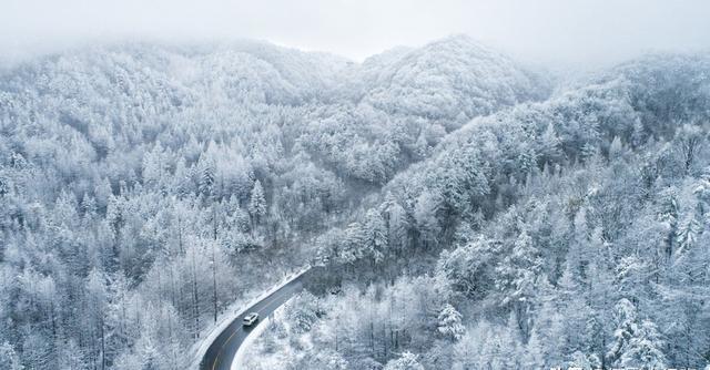 雪景摄影最容易出现的误区，是以为“雪很白，所以直接拍就行”。实际上，越是看起来