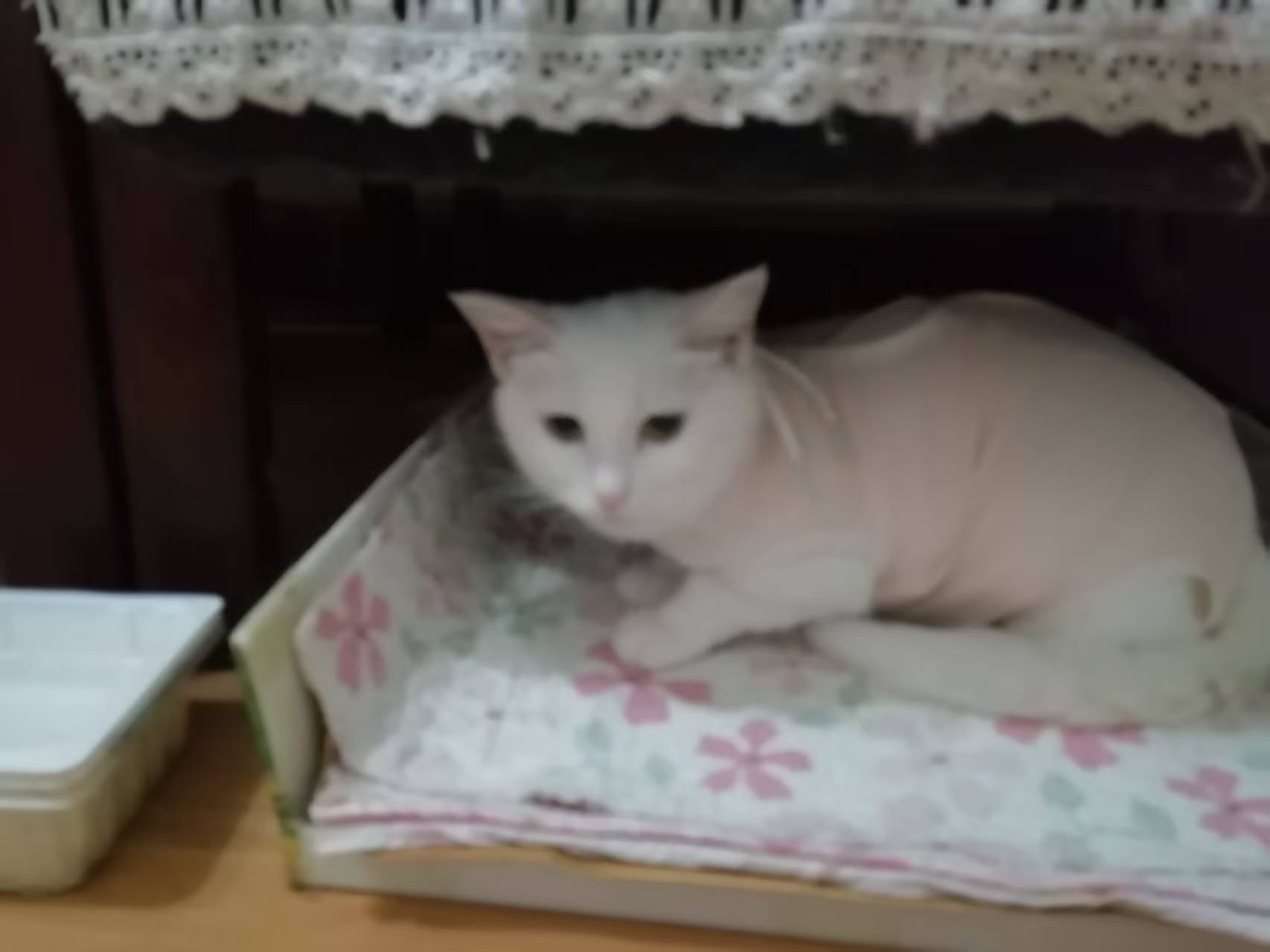 它现在很好
