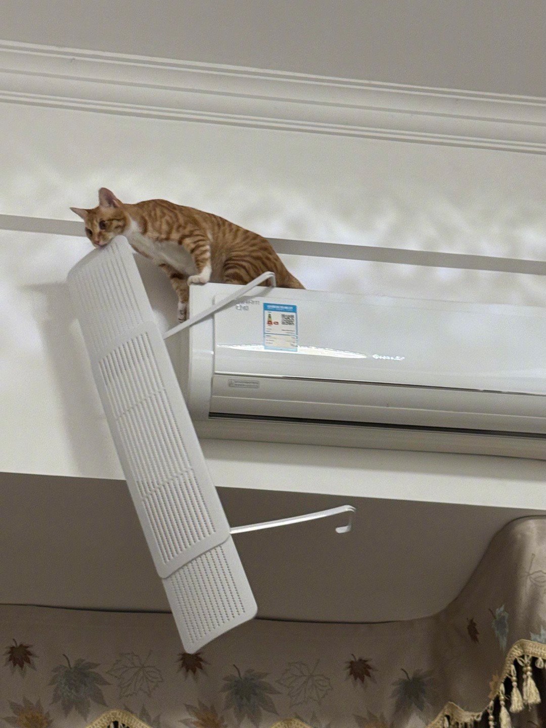 修空调的猫师傅​​​