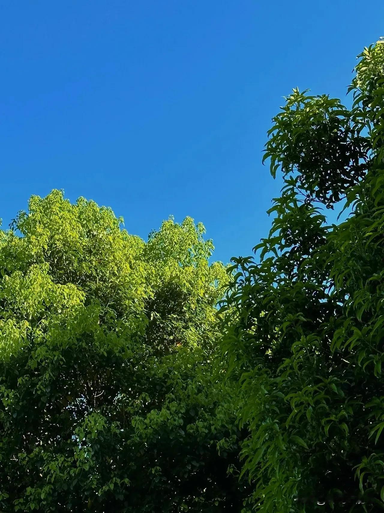 非常喜欢的一段话：“生活中，有的人总会用“来不及了”、“太晚了”为借口，放弃自己