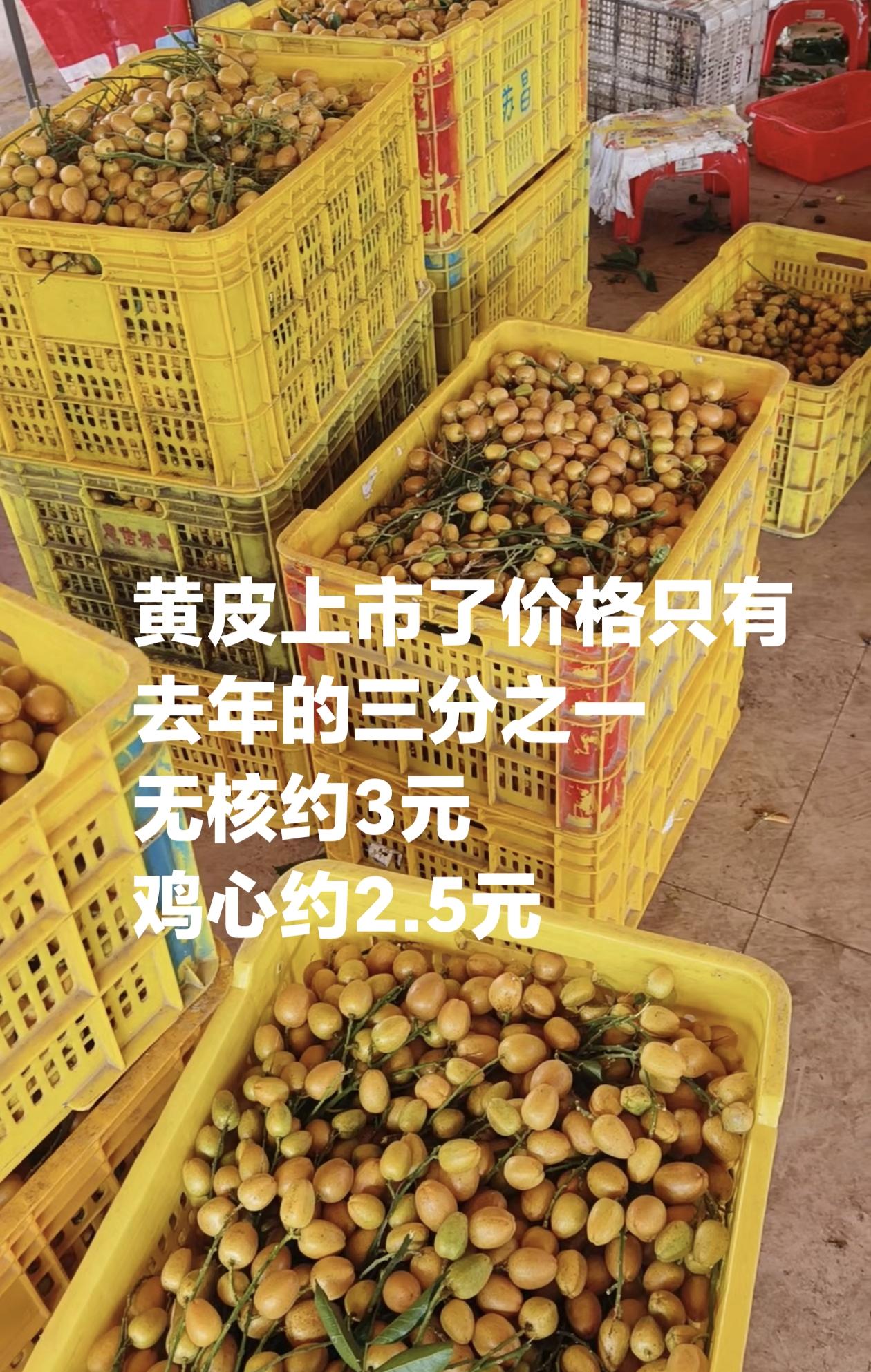 去年荔枝很便宜黄皮很贵，今年刚好反过来了，荔枝很贵黄皮很便宜。现在全球最大黄