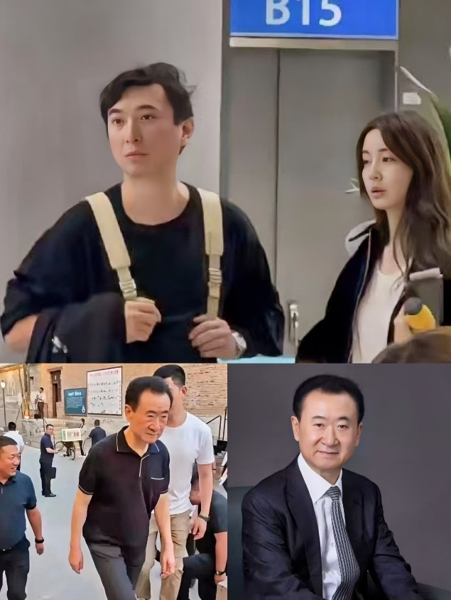王思聪啊王思聪！别怪我说话难听，你老爸现在焦头烂额，又卖了48座万达还债，你竟