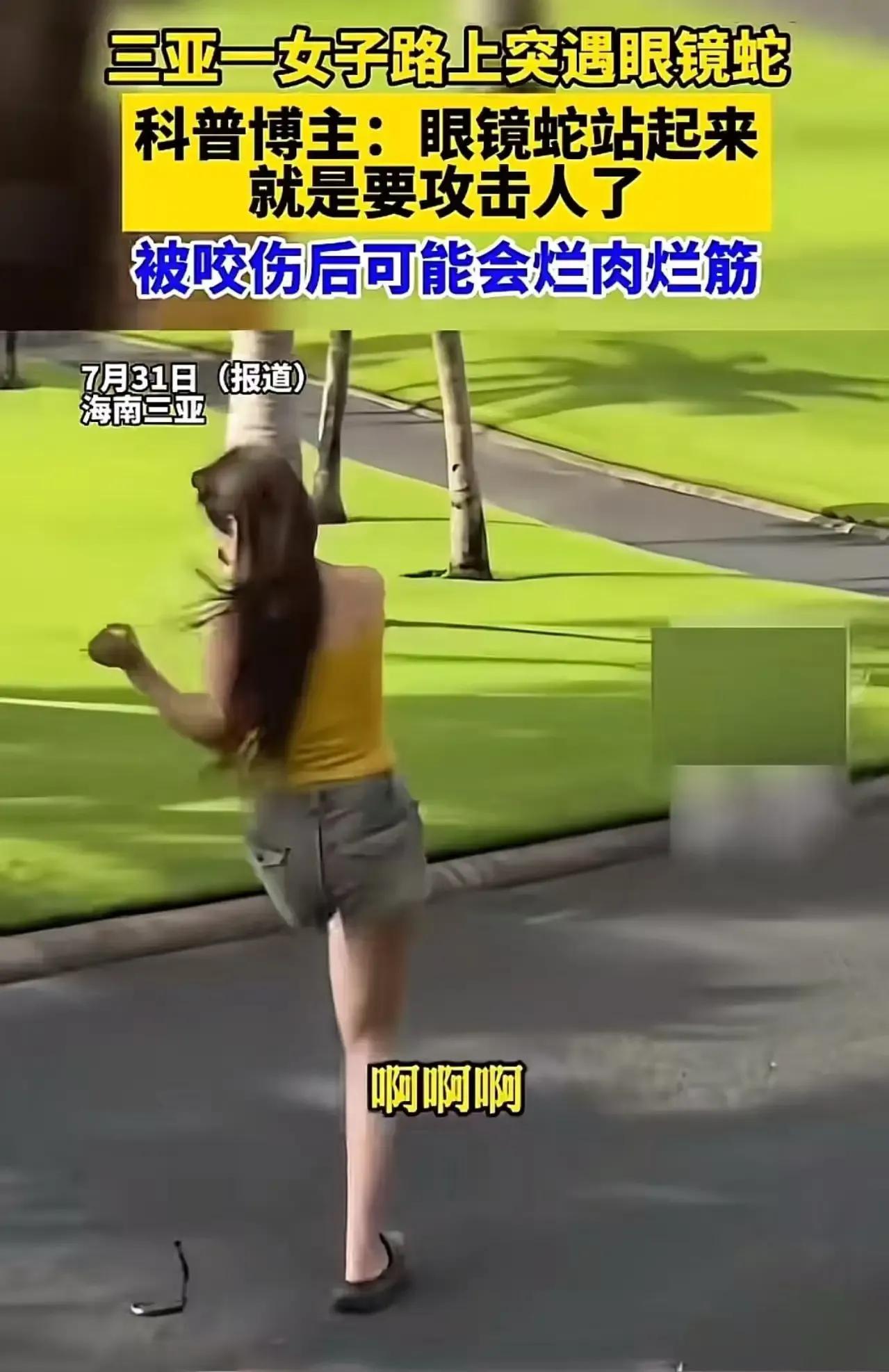 海南三亚，一位美女正对着镜头摆pose，身后一条剧毒眼镜蛇却悄然竖起上半身——遇
