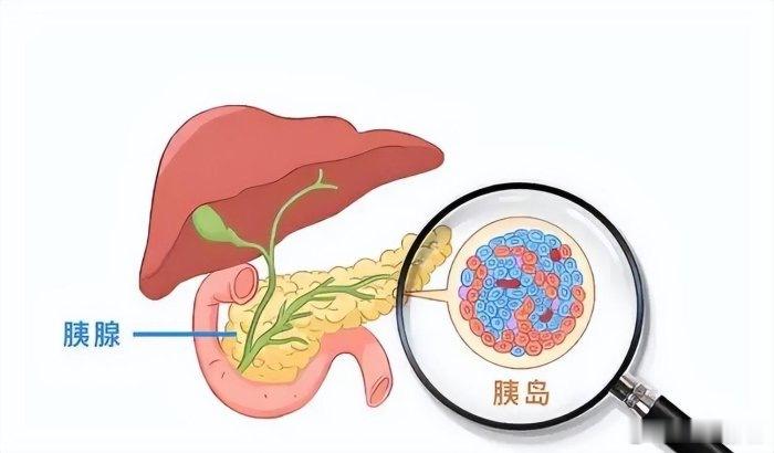 英国医生仅靠饮食逆转糖尿病，怎么做到的？早了解早受益·默斋主人原创科普散文很多人